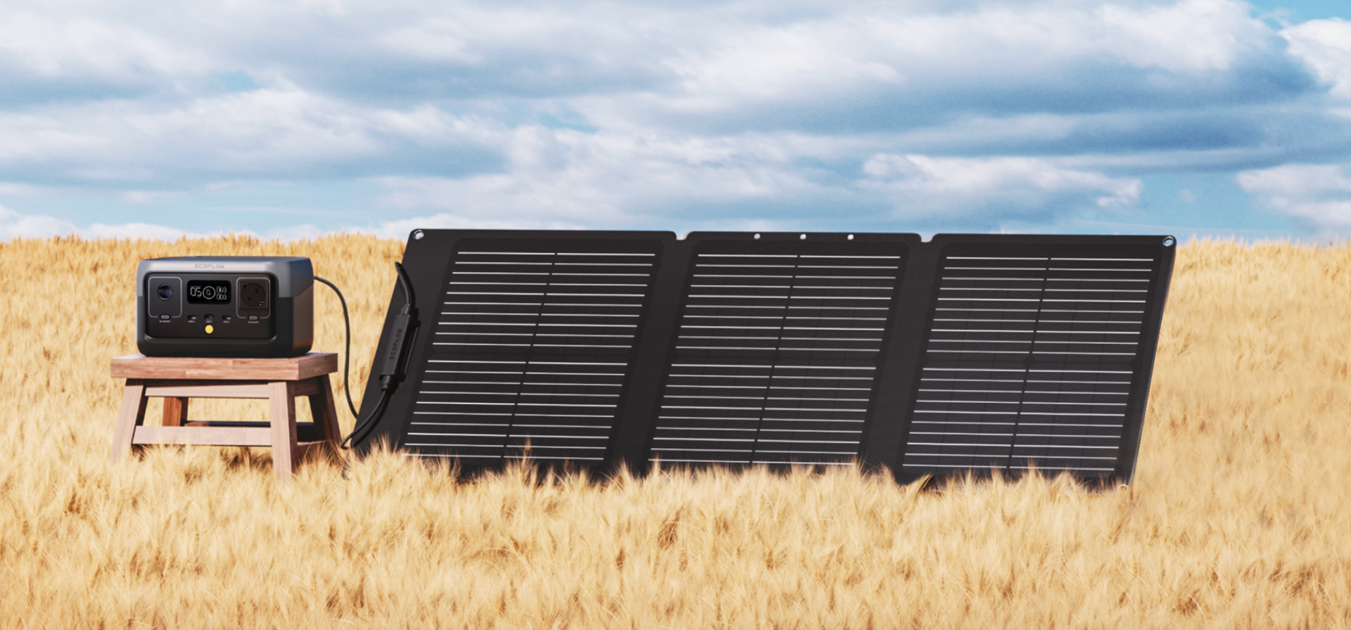 Imagen de Panel solar ECOFLOW 60W Portátil